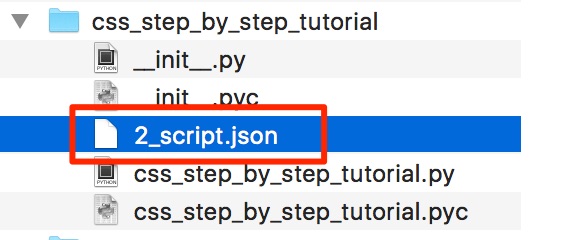 The Script Json File